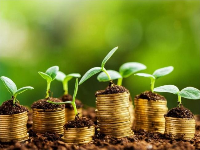 políticas de desarrollo