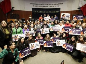 igualdad sustantiva en la Constitución
