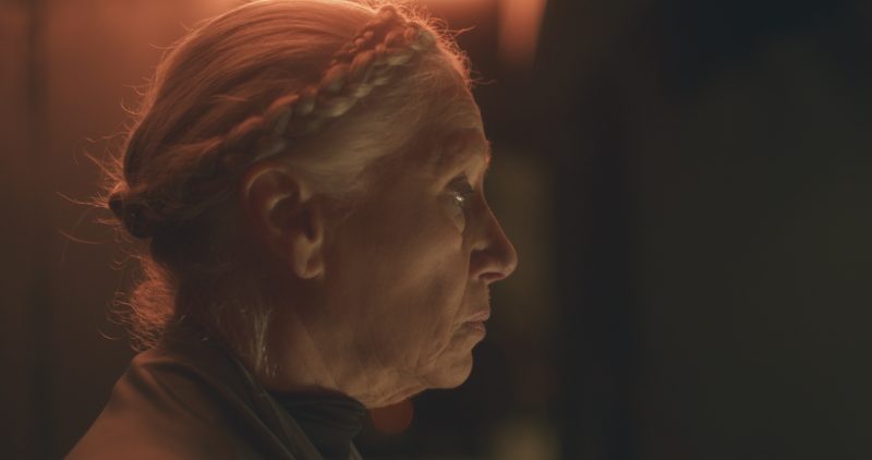 CORAJE_Still_04