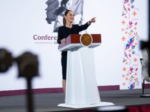 organismos autónomos autoritario