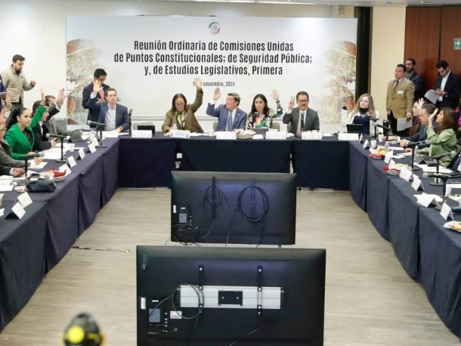 Senado_Seguridad