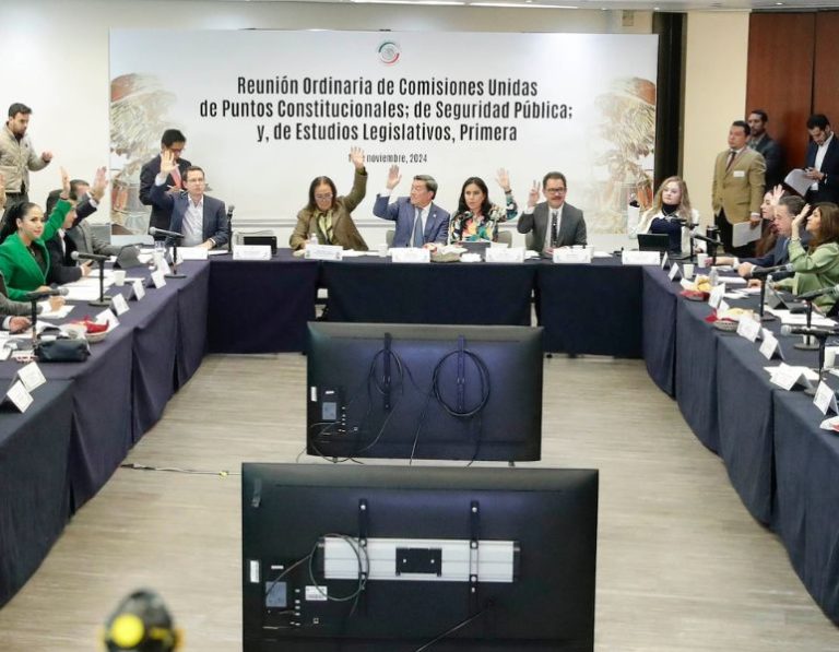 Senado_Seguridad