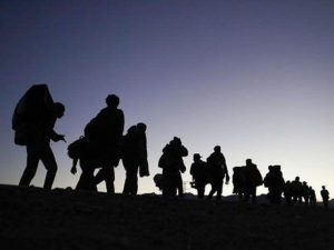 Trump migrantes diputados CURP reingreso