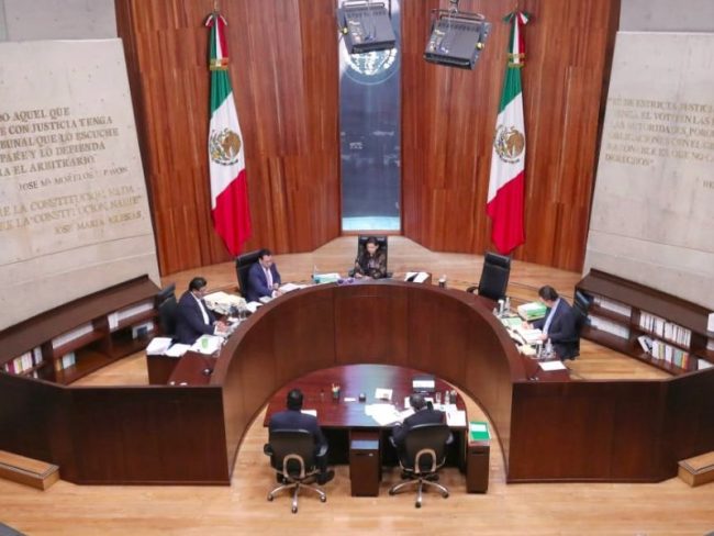 TEPJF Senado elección judicial