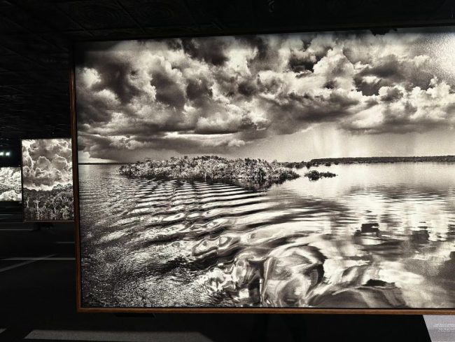 Sebastião Salgado