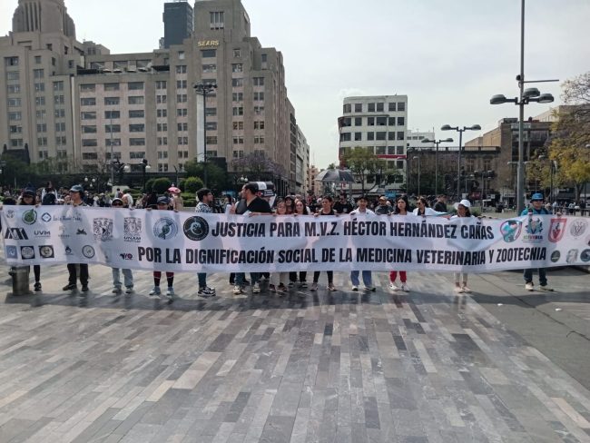 Médico veterinario Héctor Hernández Cañas protesta veterinarios
