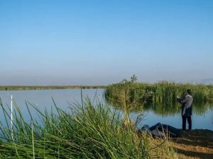 Unesco Lago de Texcoco