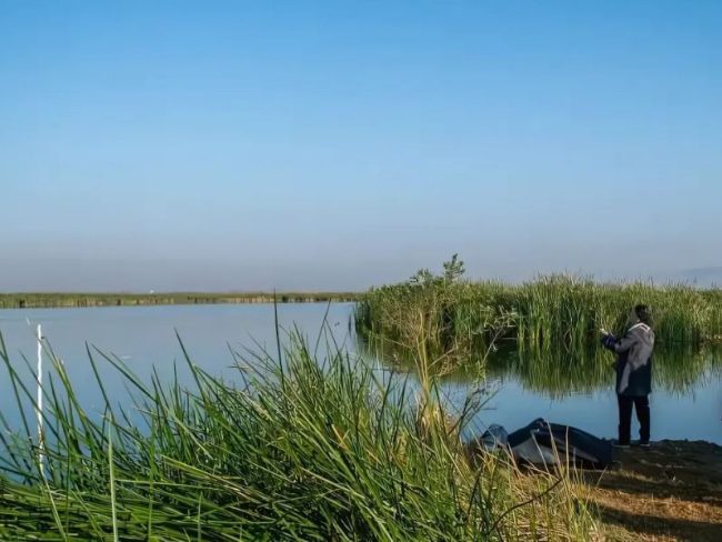 Unesco Lago de Texcoco