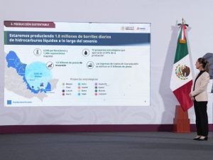 Plan de Trabajo hidrocarburos