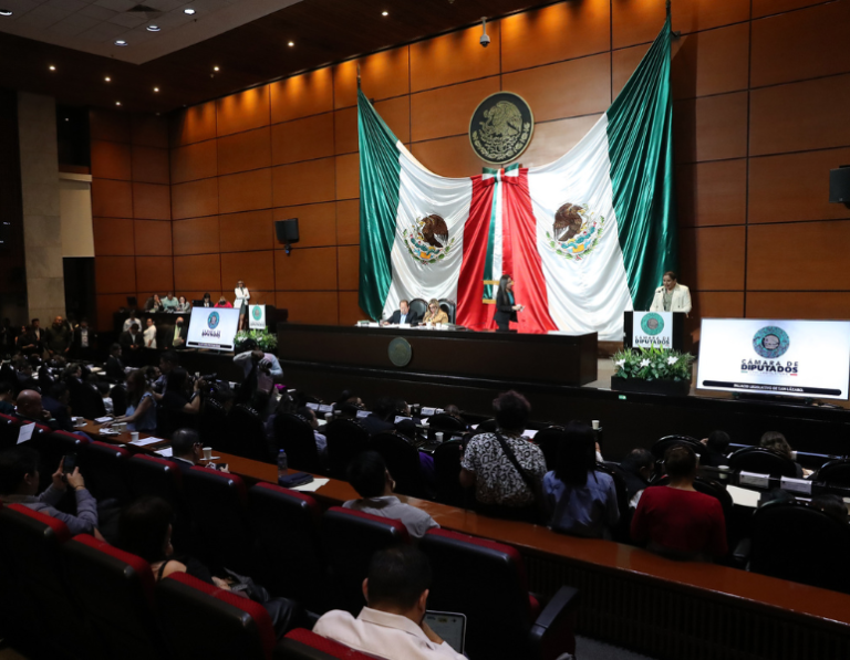 cámara de diputados