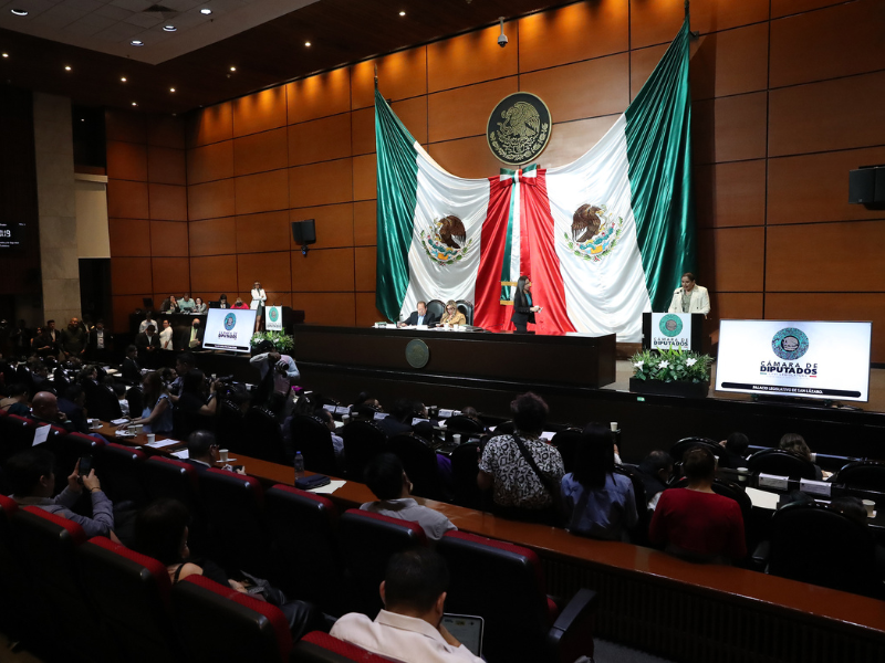 cámara de diputados