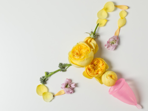 pruebas detección VPH