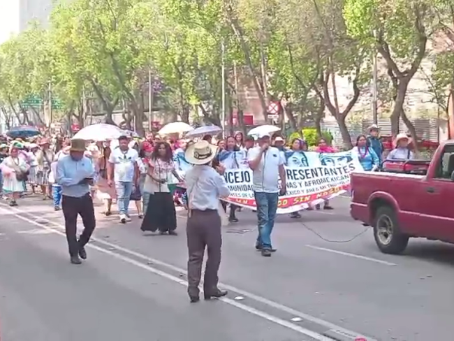 manifestación Fiesta Lengua Materna