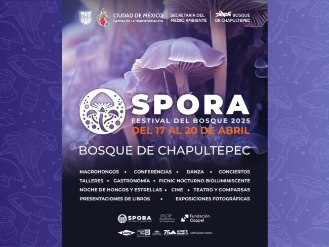 Spora Festival 2025