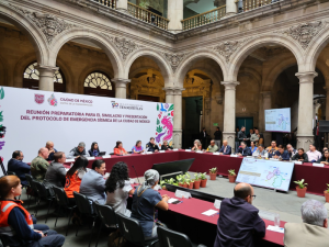 CDMX Simulacro Nacional 2025