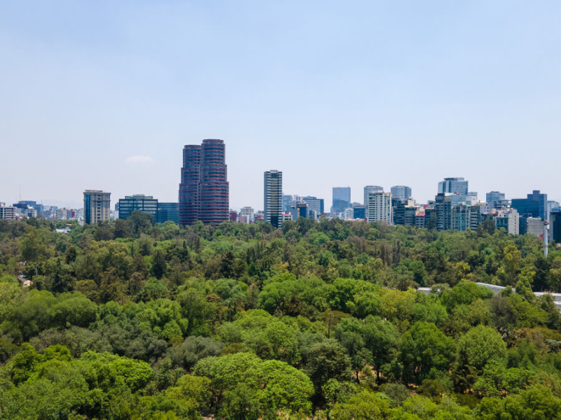 CDMX Brugada Chapultepec