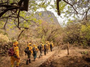 incendios forestales