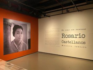 Archivo inédito de Rosario Castellanos