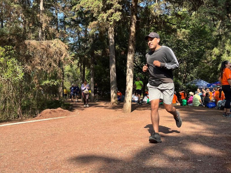 CORRER BOSQUE