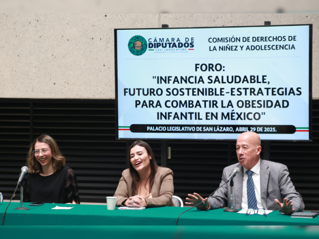 Diputados obesidad infantil
