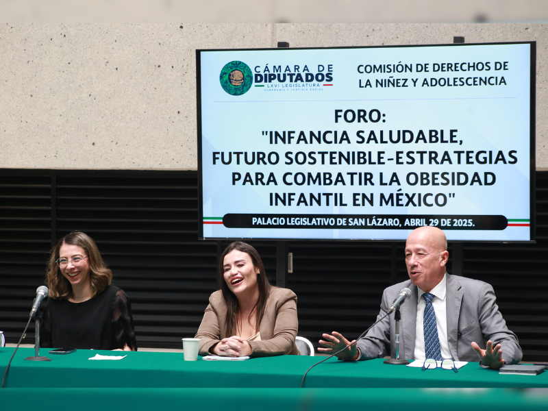 Diputados obesidad infantil