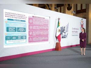 reformas seguridad pública