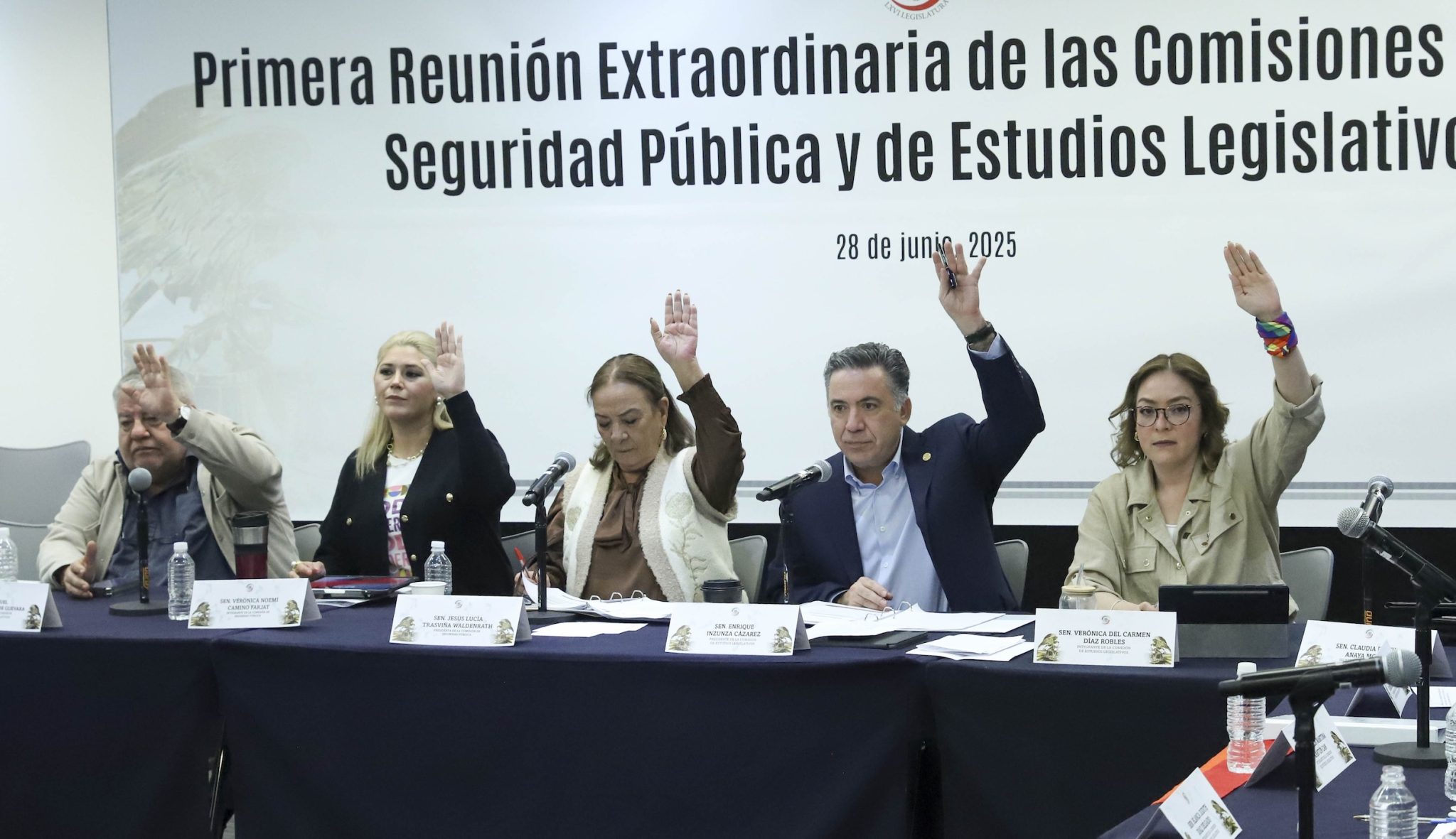 Senado seguridad pública