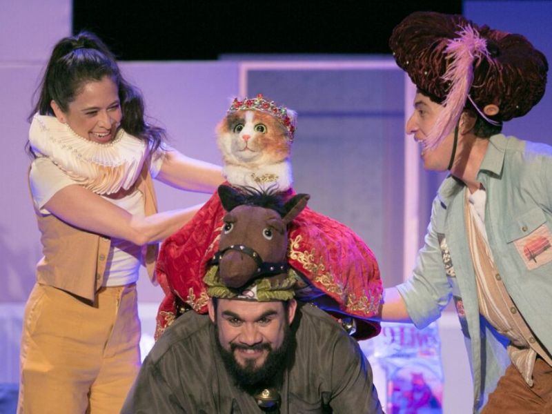 Cati Catalina calico