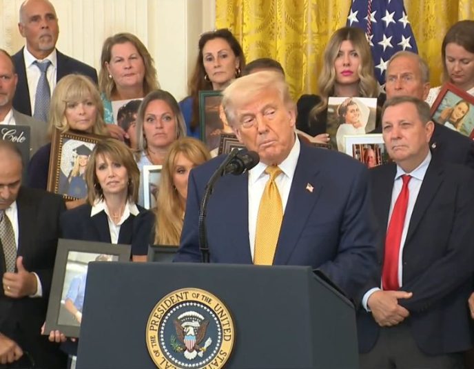 Ley Alto al Fentanilo - Carteles