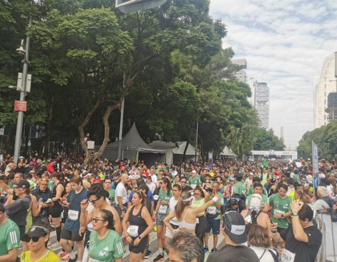 MEDIA MARATON