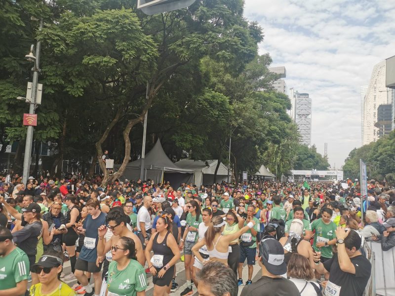 MEDIA MARATON