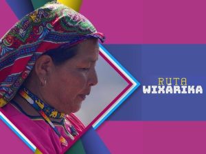 ruta wixárika UNESCO