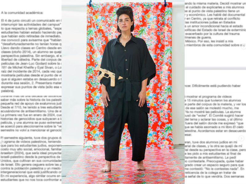 cultural Irmgard Emmelhainz