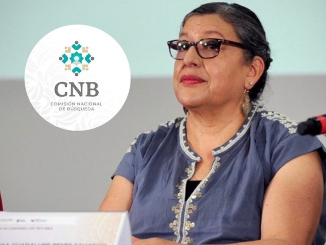 Teresa Reyes - renuncia