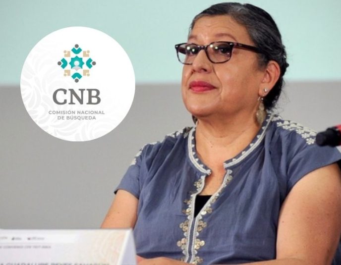 Teresa Reyes - renuncia