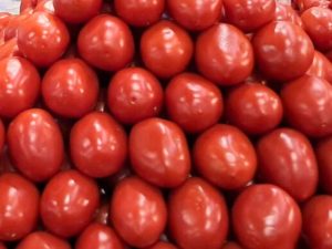 cuota compensatoria tomate