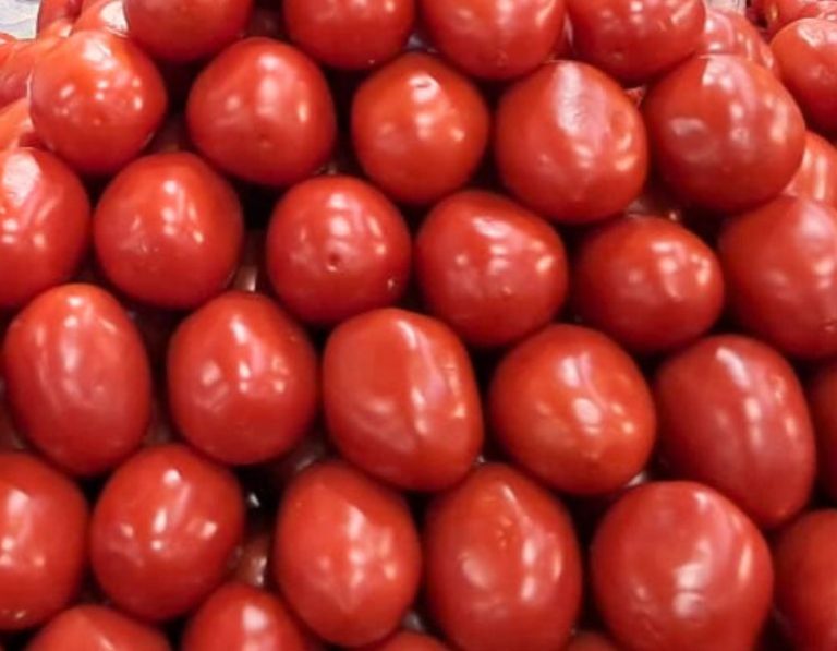 cuota compensatoria tomate