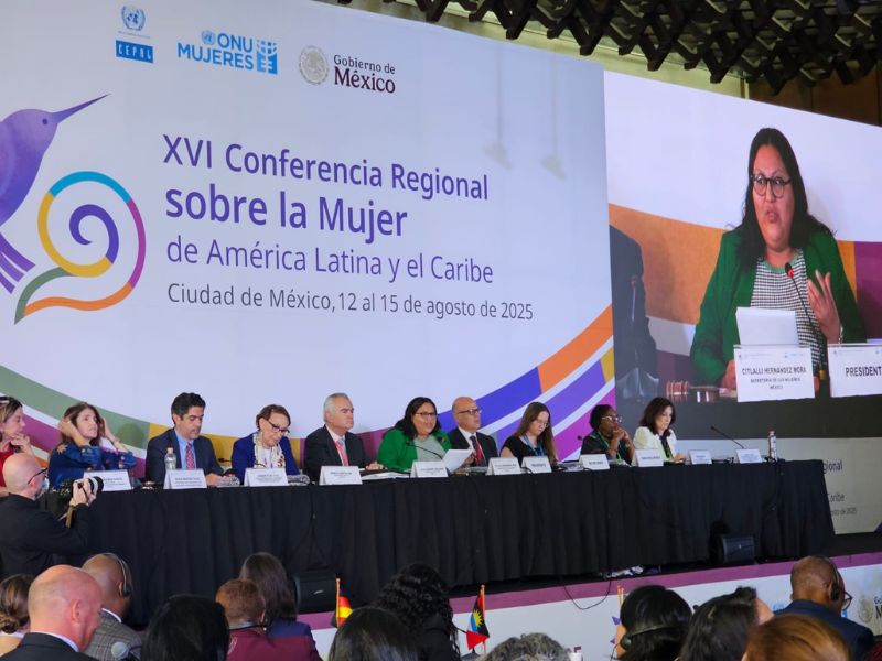 Conferencia Regional de la Mujer - Trabajo no remunerado
