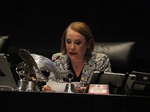 Laura Itzel Mesa Directiva de la Cámara de Senadores