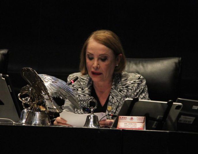 Laura Itzel Mesa Directiva de la Cámara de Senadores