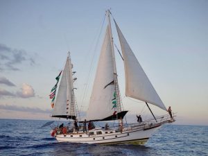 Flotilla Global Sumud avanza hacia Gaza: Piden protección internacional ante zona de riesgo