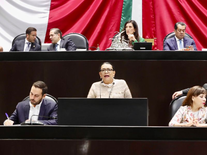 Rosa Icela perseguidos políticos Rosa Icela perseguidos políticos