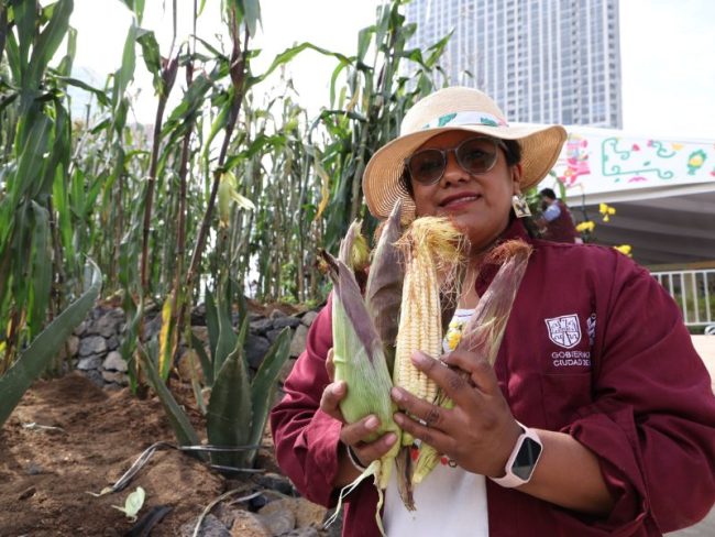 Feria del Maíz y la Agrobiodiversidad Brugada