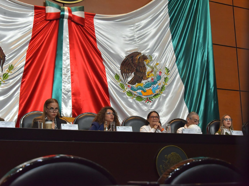 Comparecencia de Emilia Esther Calleja ante diputados: CFE restablece servicio y destina 84 mil millones en subsidios Comparecencia de Emilia Esther Calleja ante diputados: CFE restablece servicio y destina 84 mil millones en subsidios