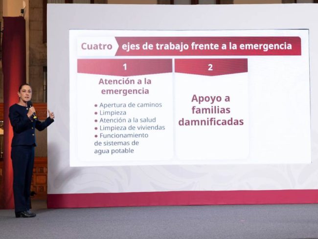 ejes de trabajo emergencia ejes de trabajo emergencia