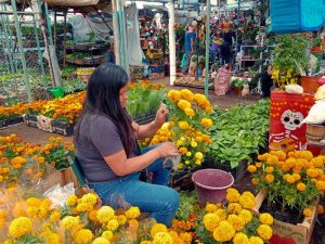 Fieles Difuntos y Día de Muertos 2025