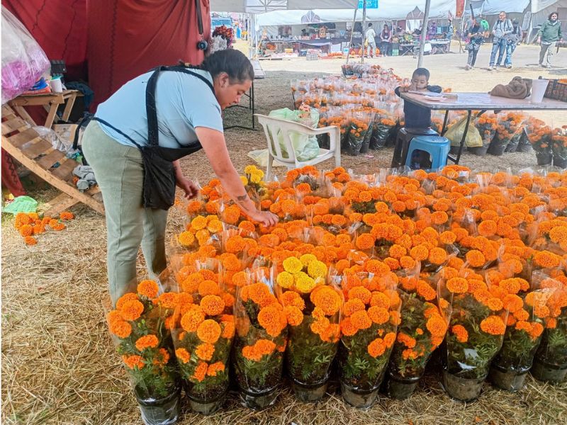 Día de Muertos