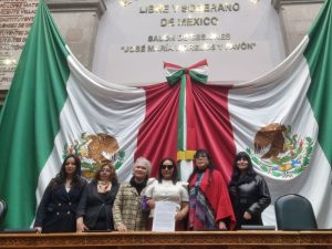 Carmen Sánchez: “Proponemos reconocer jurídicamente la violencia química para proteger el derecho a vivir sin violencia”