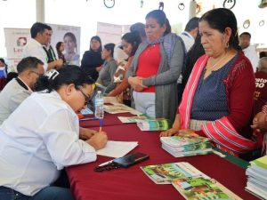 Plan Michoacán