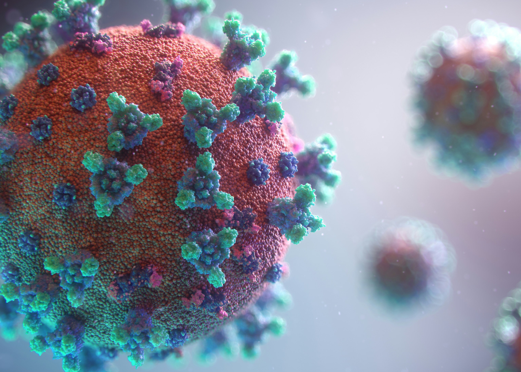 Salud confirma primer caso de influenza A H3N2 subclado K en México Salud confirma primer caso de influenza A H3N2 subclado K en México